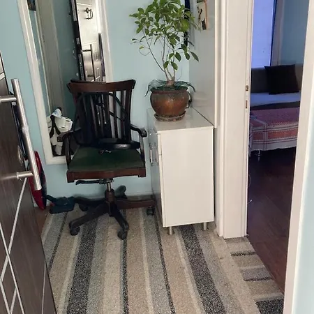 50 Meter To Ortakoy Seaside,close The Center 1+1 Appartement Istambul